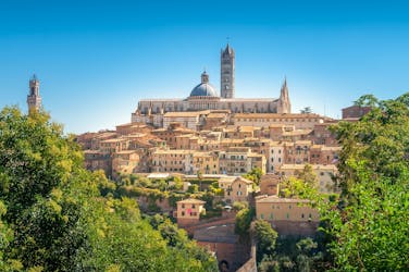 Siena, San Gimignano and Chianti small group tour with Cathedral tickets and lunch